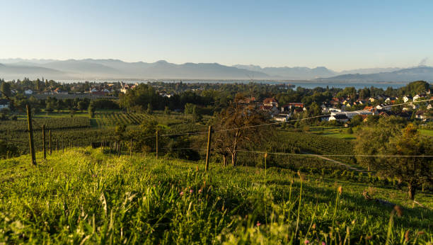 istock View to Lindau at Lake Constance in Germany 2156950847