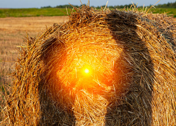 A picturesque scene capturing the glowing sun shining through a round hay bale in a rural field during summertime, with ample copy space beside the bale for text or design elements.