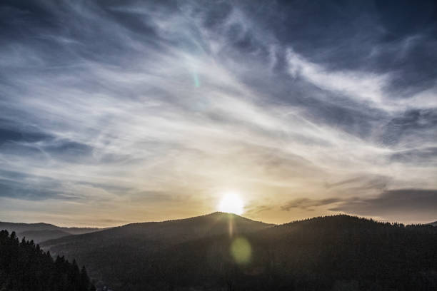 Forest - Europe, Romania, Suceava region