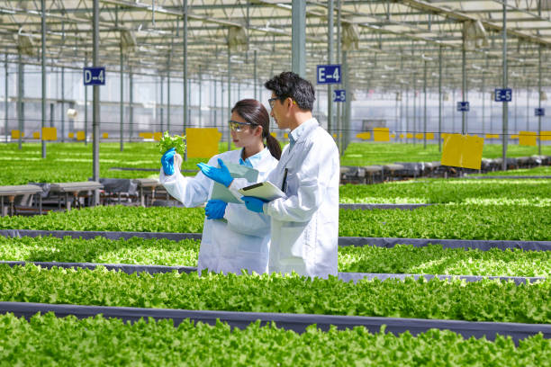 istock Two Asia Researcher Discussing at Modern Greenhouse 2156958852