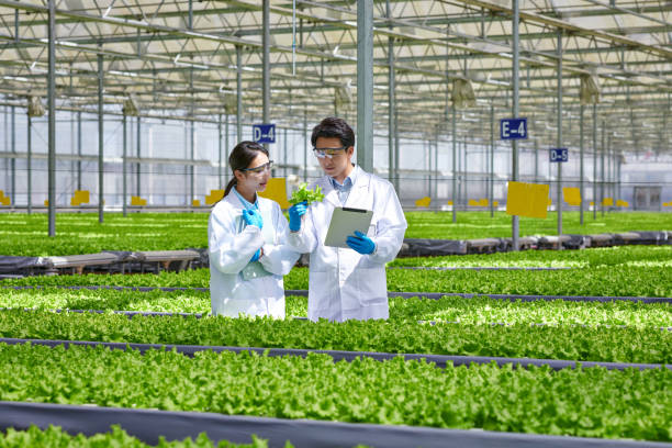 istock Two Asia Researcher Discussing at Modern Greenhouse 2156958907