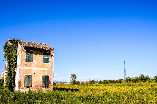 A small, dilapidated house sits in a field of grass. The sky is clear and blue, and the house is surrounded by a few trees. The scene is peaceful and quiet, with no signs of human activity