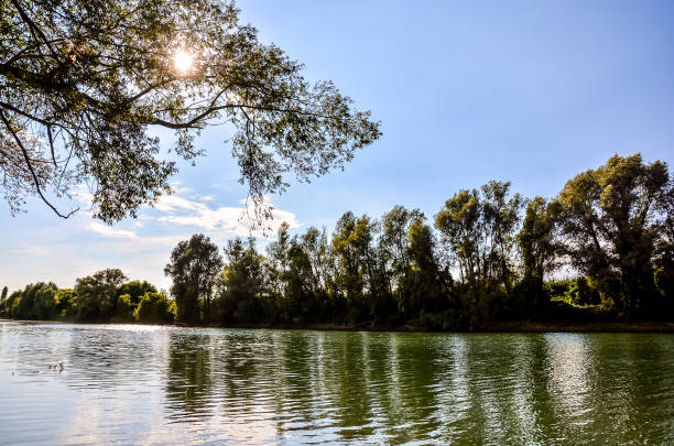 istock A calm lake with trees in the background 2156971613