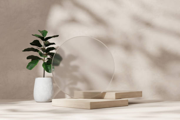 istock 3D rendering wood platform podium product presentation with plant and sunlight wall backdrop 2156972011