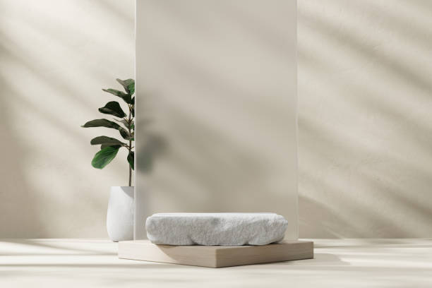 istock 3D rendering stone and wood platform podium product presentation with plant and sunlight wall backdrop 2156972013