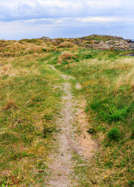 istock Coastal trail on South Norway. 2156974169