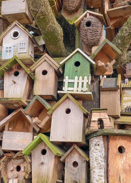 istock Birdhouses of various shapes hanging on the same tree 2156975065