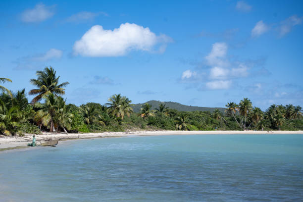 istock Viques, Puerto Rico 2156983959