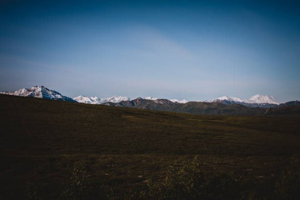 Explore the vast Alaskan wilderness with its expansive plains and distant snowcapped peaks under a clear blue sky. Perfect for themes of nature, adventure, and serenity, showcasing Alaska's majestic beauty.