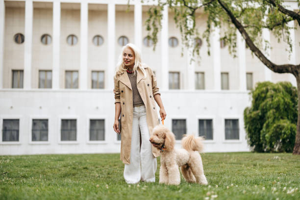 istock Walking time in the park for red poodle and her owner 2156985328