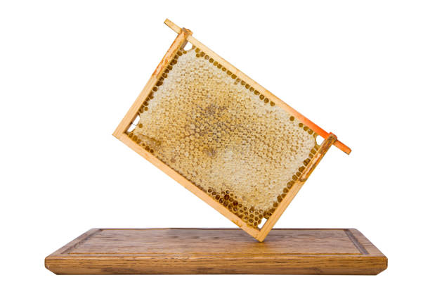 istock Honey with honeycombs in a wooden frame isolated on white. 2156986219