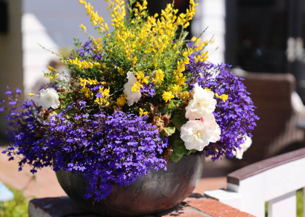 istock Vibrant flower arrangement in a ceramic bowl 2156990353