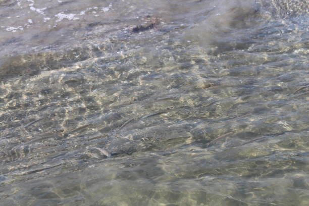 A body of water with rocks. Outdoor. Wave. Ocean floor