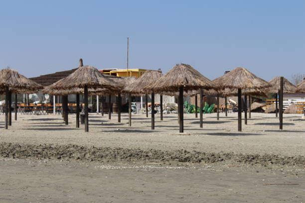 istock A group of straw umbrellas on a beach 2156991178
