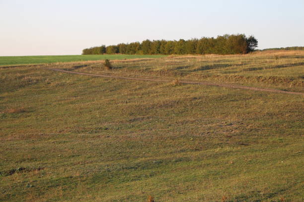 istock A field with trees in the background 2156992609
