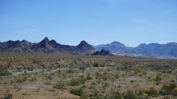 istock Exploring the Historic Town Oatman in Arizona 2156993652