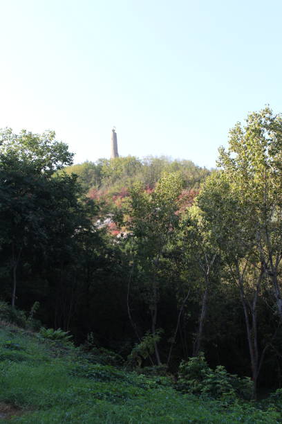 istock A tall tower in the distance 2156993722