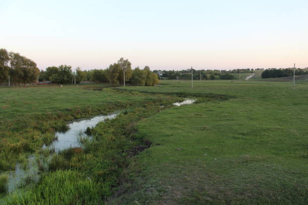 istock A stream of water in a grassy field 2156993739