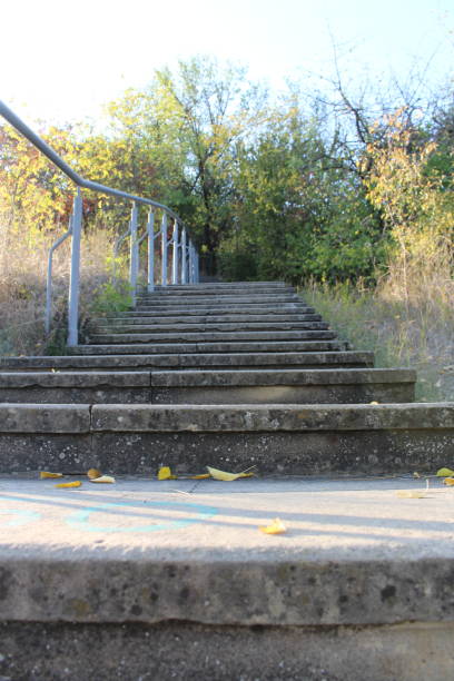A set of stairs leading up to a hill. Outdoor. Tree. Ground. Concrete. Cement
