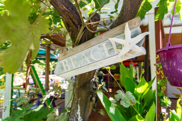 istock Pathway in tropical tree through a camping area in Antalya City 2156994414