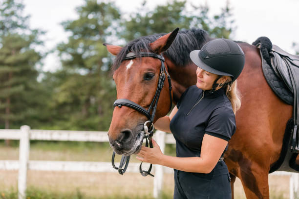 istock Female hand gently caressing beautiful thick red horse mane, close up shot 2156994577
