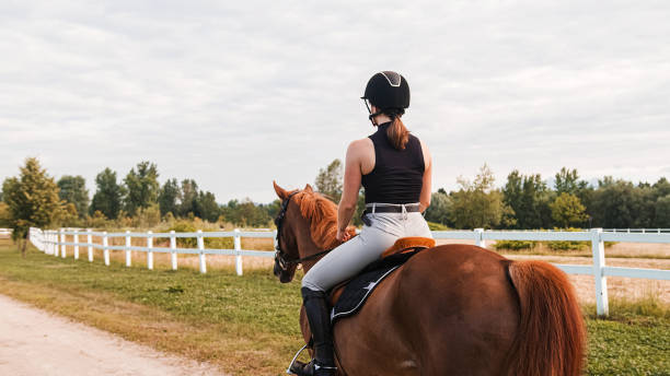 istock Horseback riding along the trail between wood fences and fields 2156995102
