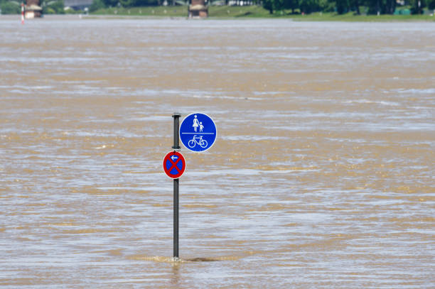 a traffic sign no stopping and pedestrian and cycle path in the middle of the flooding rhine in cologne