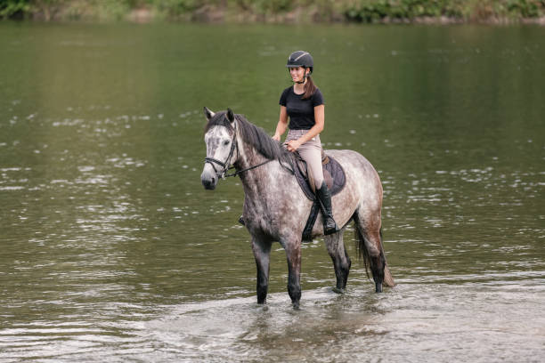 istock Horse and his rider walking through a river 2156995615