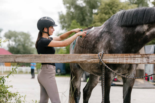 istock Young woman washing her horse 2156995639