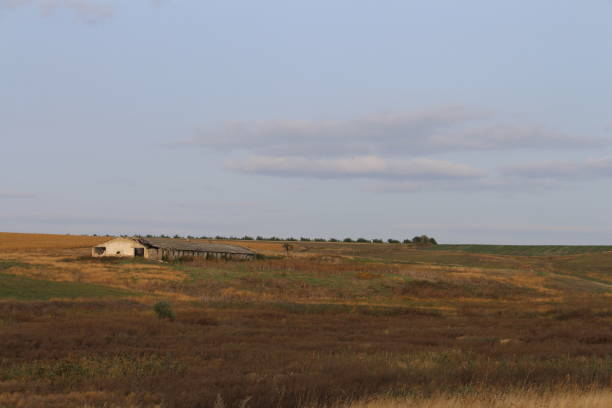 istock A field with a house in the distance 2156995688