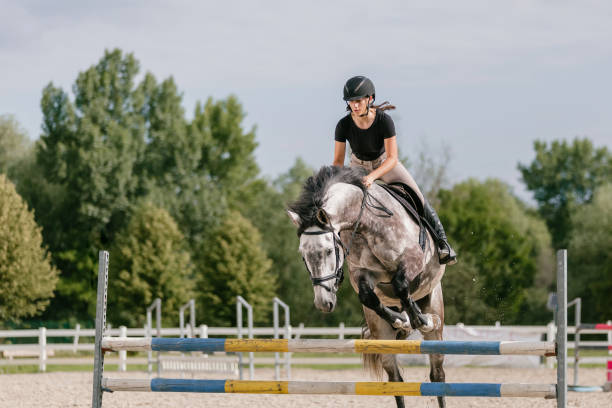 istock Girl on a dapple gray horse practicing jumping over a fence 2156995728