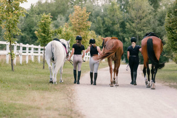 istock Three horses with female jockeys walking side by side 2156995745