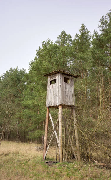 istock A deer hunting pulpit at the edge of a forest. 2156995782