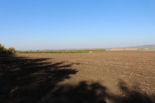 istock A dirt road with a field in the background 2156996624