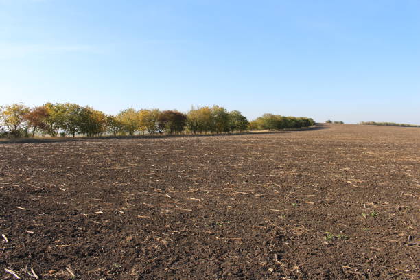 istock A field of dirt 2156996651