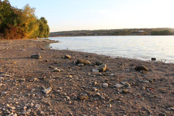 istock A rocky beach with trees and water in the background 2156997057