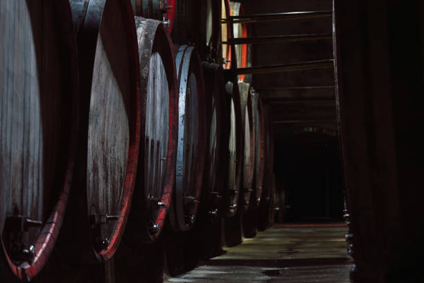 istock Rows of old oak barrels in the wine cellar 2156998100