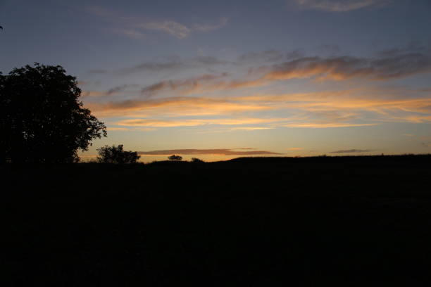 istock A landscape with trees and a sunset 2156999278