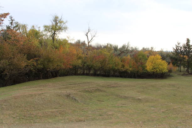 beauty of autumn colors: green, yellow, brown, orange