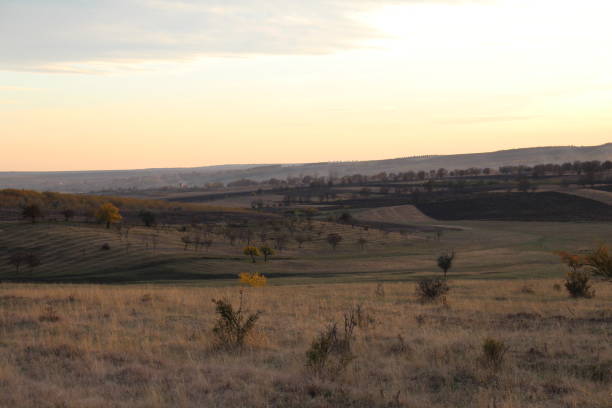istock A landscape with a field and trees 2156999925
