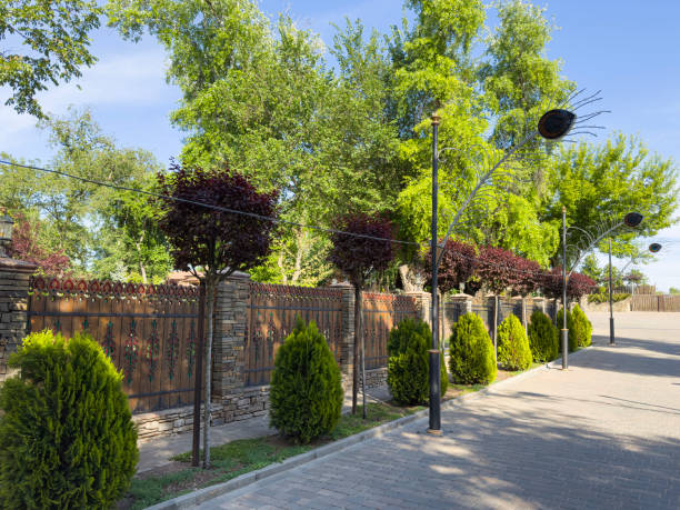 The greenery along the road to the mountain resort