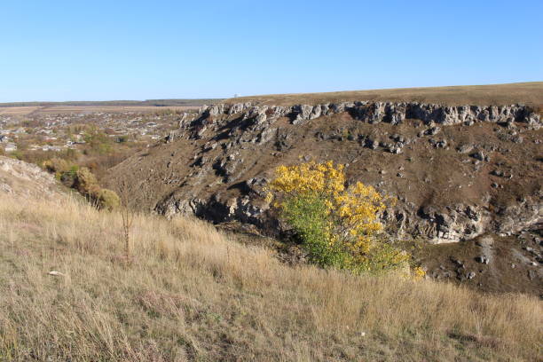 istock A yellow flower on a rocky hill 2157004782