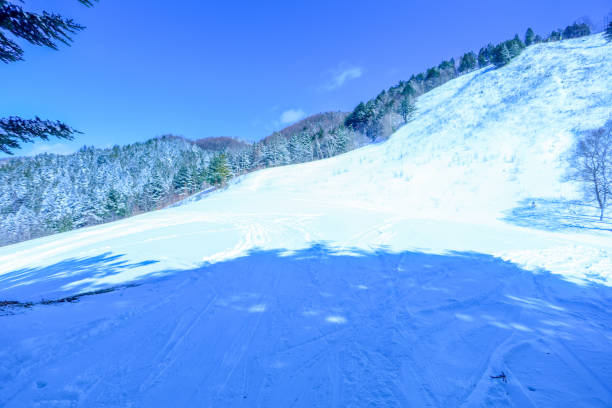 A ski slope with blue skies and fresh snow.