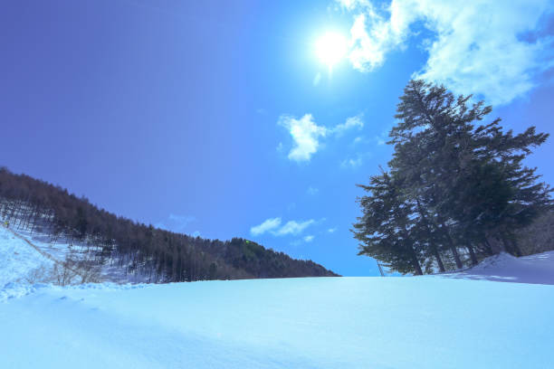 A ski slope with blue skies and fresh snow.