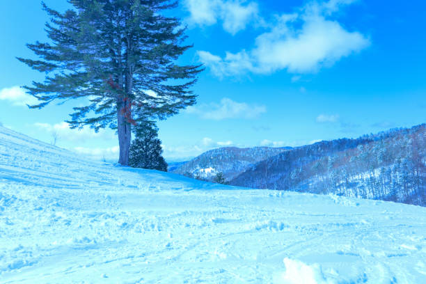 A ski slope with blue skies and fresh snow.