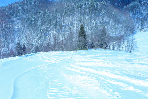 A ski slope with blue skies and fresh snow.