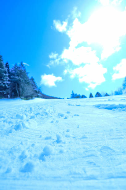 A ski slope with blue skies and fresh snow.