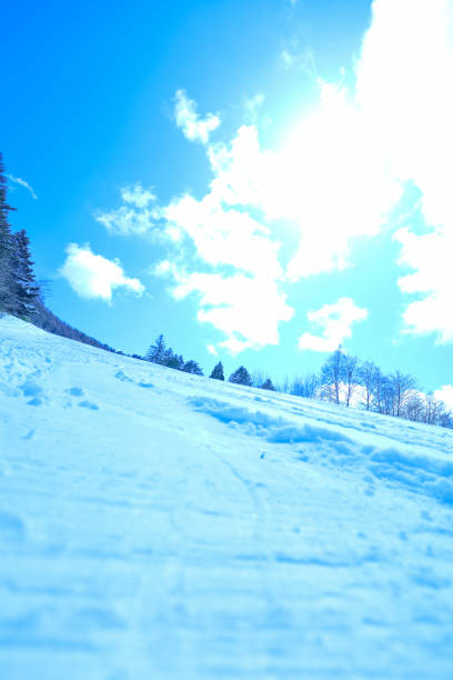A ski slope with blue skies and fresh snow.
