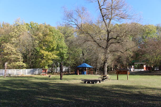 istock A park with a blue tent and benches 2157006228