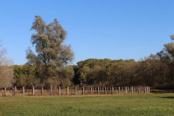 istock A fenced in field with trees 2157007043